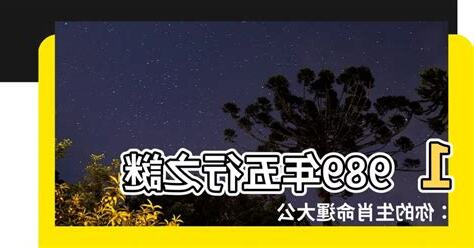 1989 五行